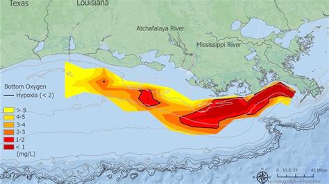 Gulf’s ‘dead zone’ forecast to be smaller than average, but still twice reduction goal